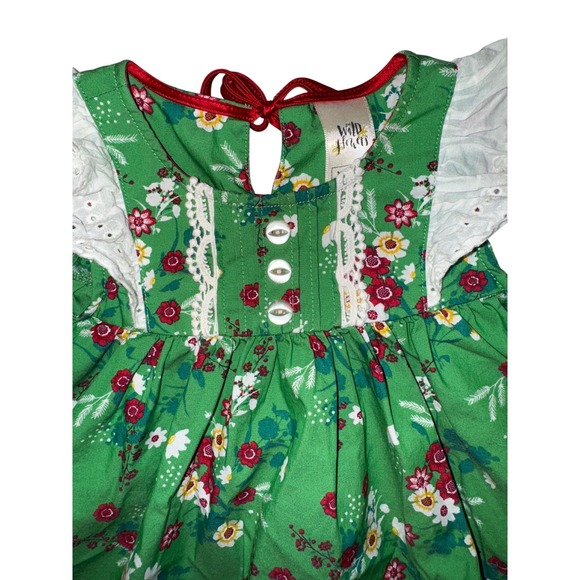 Wildflowers Clothing Co Girls Happy Go Lucky Festive Fern Floral Dress Green 12M - Picture 2 of 6